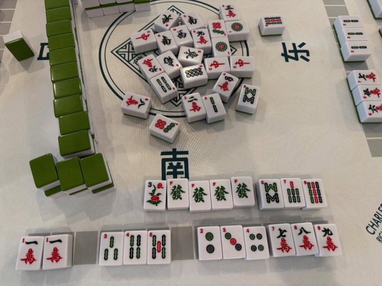 學(xué)習(xí)國粹！瓦妮莎打起了麻將 這麻將還是外國特供版